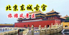 牛仔裤美女被大鸡巴操视频中国北京-东城古宫旅游风景区